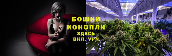амф Нея