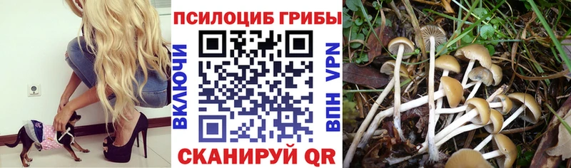 Галлюциногенные грибы мицелий omg как зайти Янаул