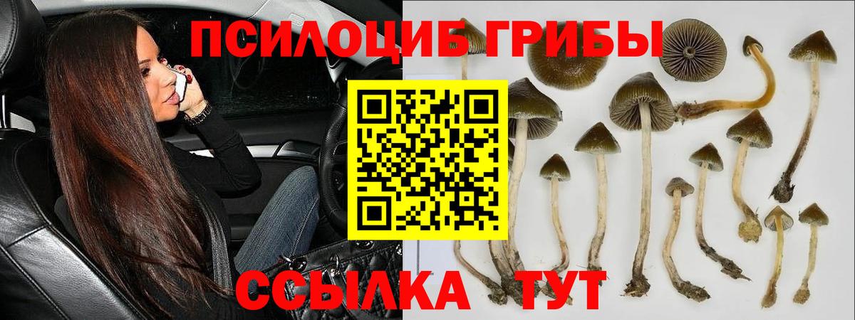 Галлюциногенные грибы MAGIC MUSHROOMS  Вход с VPN  Галлюциногенные грибы Psilocybe  Янаул 