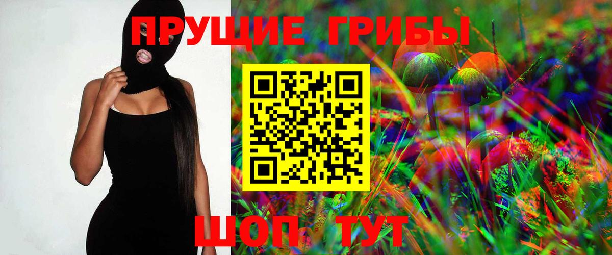Псилоцибиновые грибы Psilocybe Янаул
